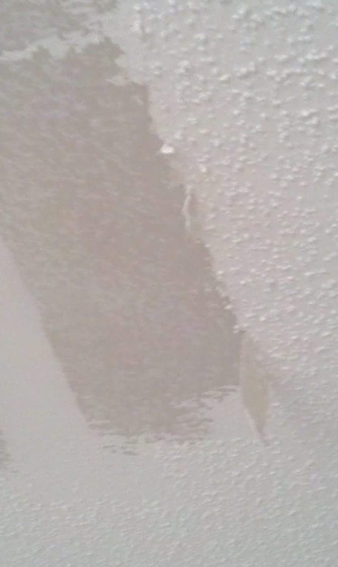 Wallpaper removal in Palm Coast, Fl